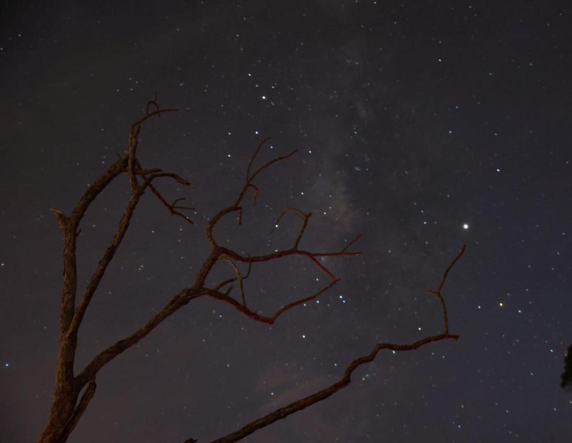 Glamping La Montaña Sagrada Hotel Medellin Bagian luar foto