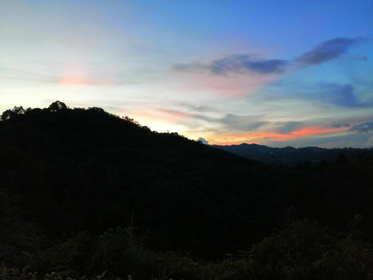 Glamping La Montaña Sagrada Hotel Medellin Bagian luar foto